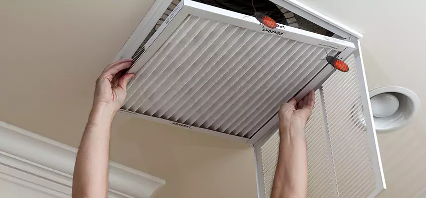 Preventive Cockroach-Proofing for Ducts in Fairmont