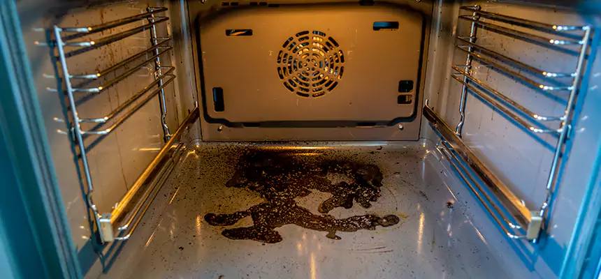 Our Dryer Vent Mold Cleaning Services in Fairmont, WV