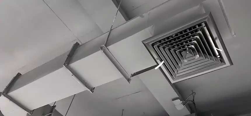 Our Pest Removal From Ducts Services in Fairmont, WV