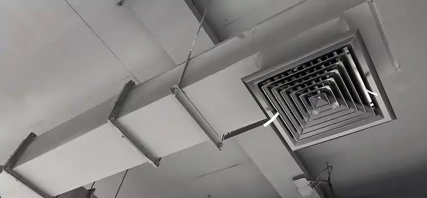 Our Rodent Droppings In Vents Services in Fairmont, WV