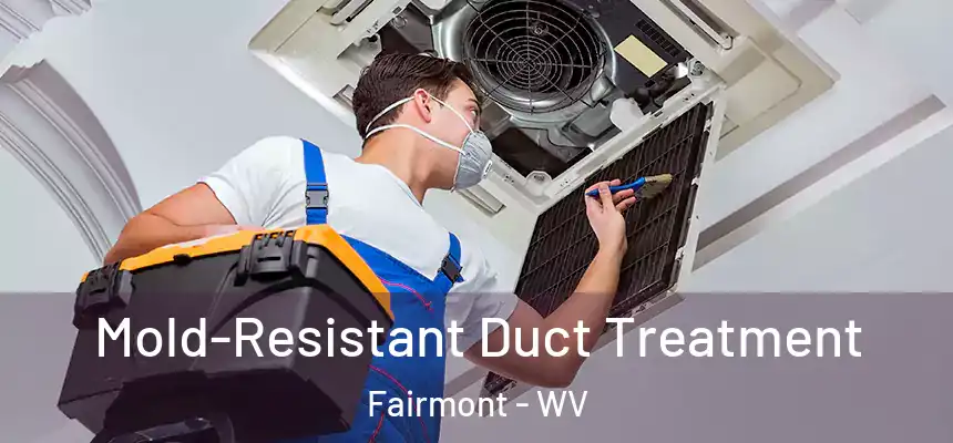  Mold-Resistant Duct Treatment Fairmont - WV