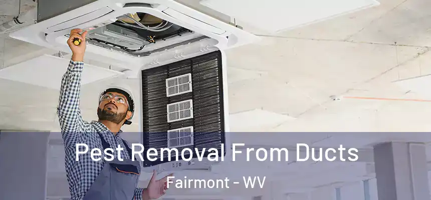 Pest Removal From Ducts Fairmont - WV