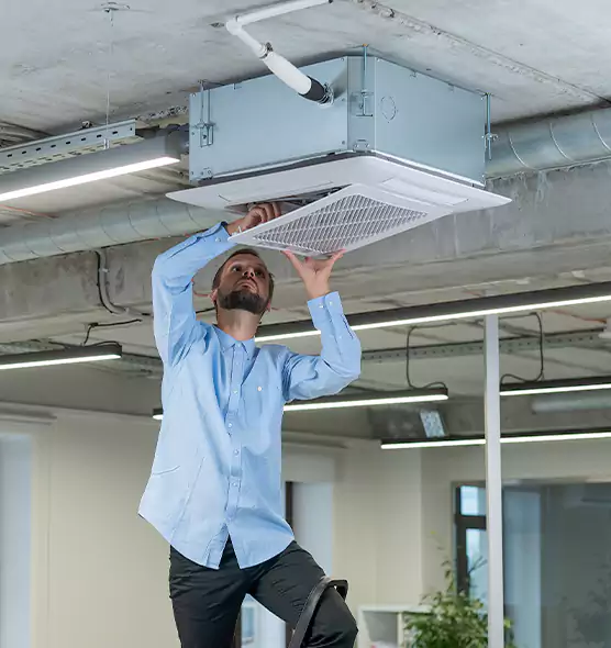 Advanced Rodent Droppings In Vents in Fairmont, WV