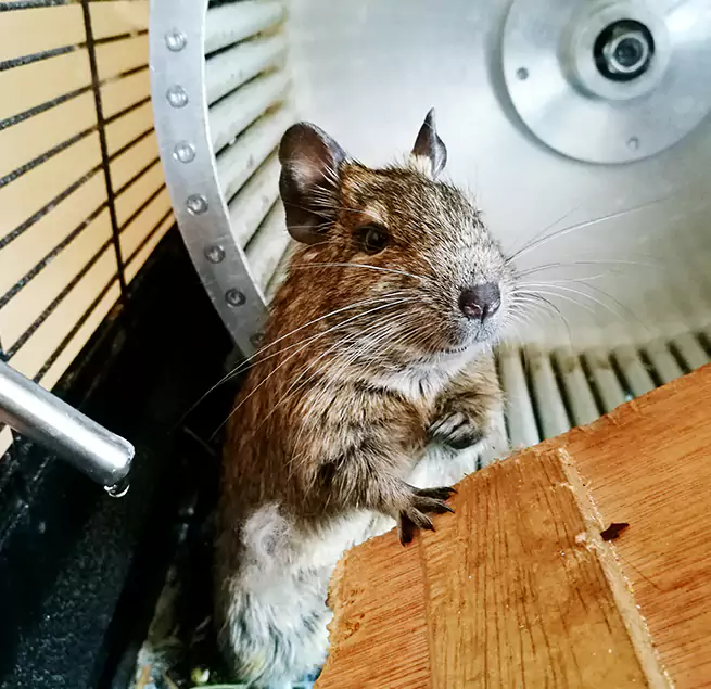 Why Homeowners & Businesses Trust Us Fairmont, WV